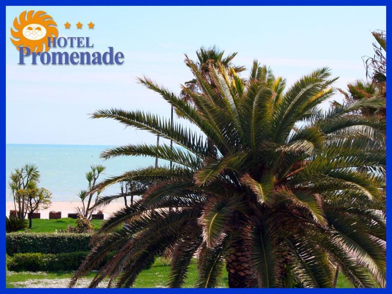 Hotel Promenade Porto Sant'Elpidio Ngoại thất bức ảnh